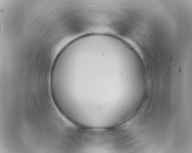 X0000089441343200707061359