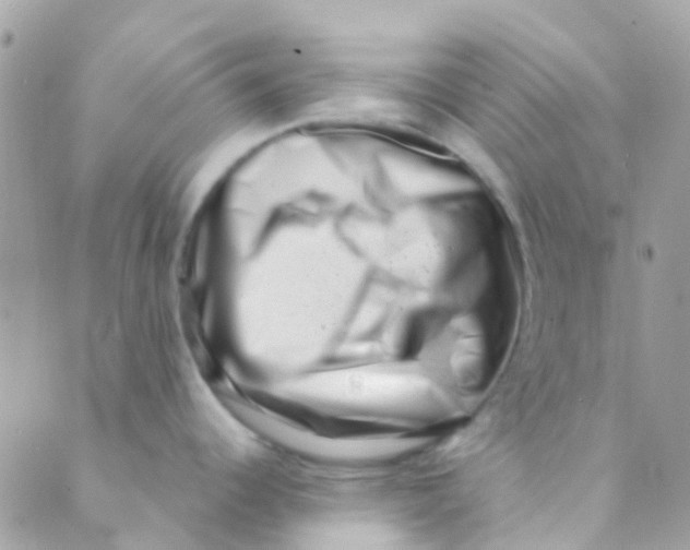 X0000089441344200707061359