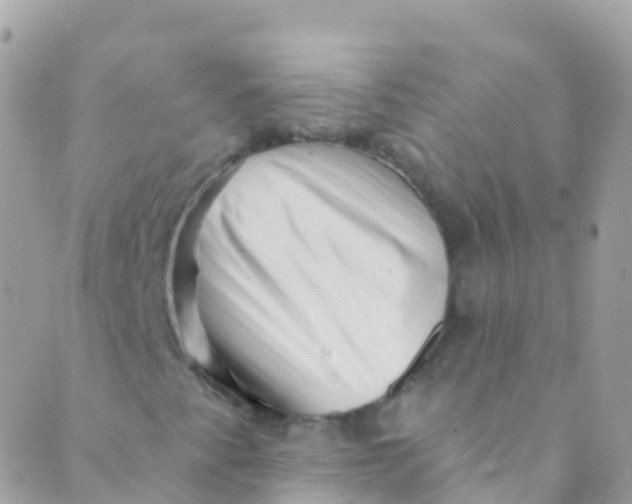 X0000089441345200707061358