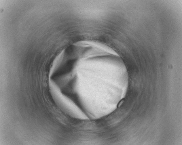 X0000089441346200707061358