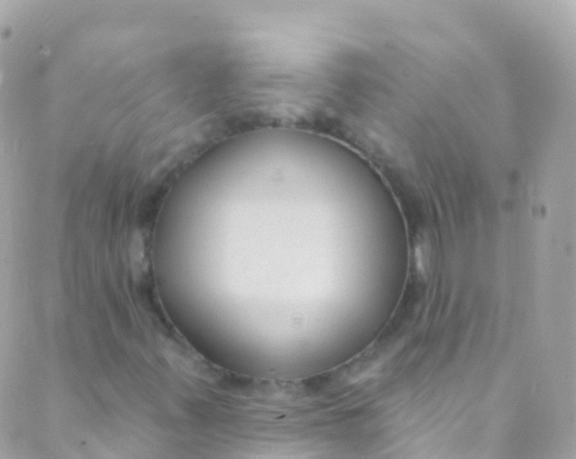 X0000089441347200707061358