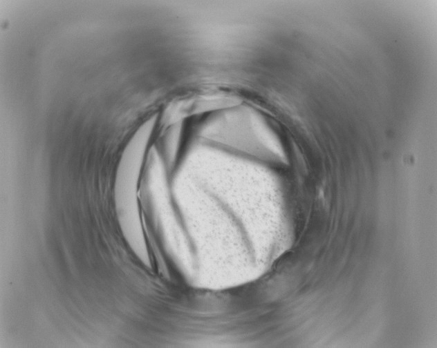 X0000089441348200707061358