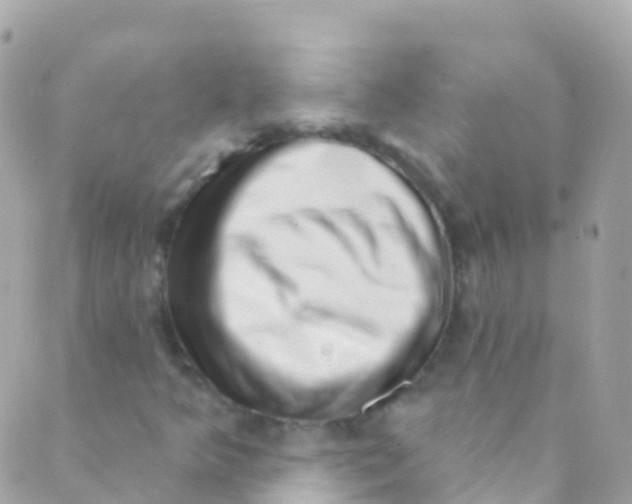 X0000089441349200707061358