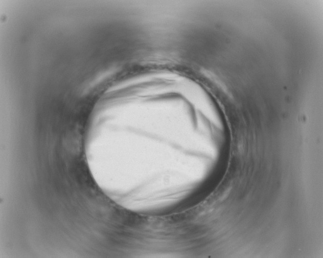 X0000089441350200707061358