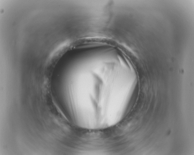 X0000089441351200707061358