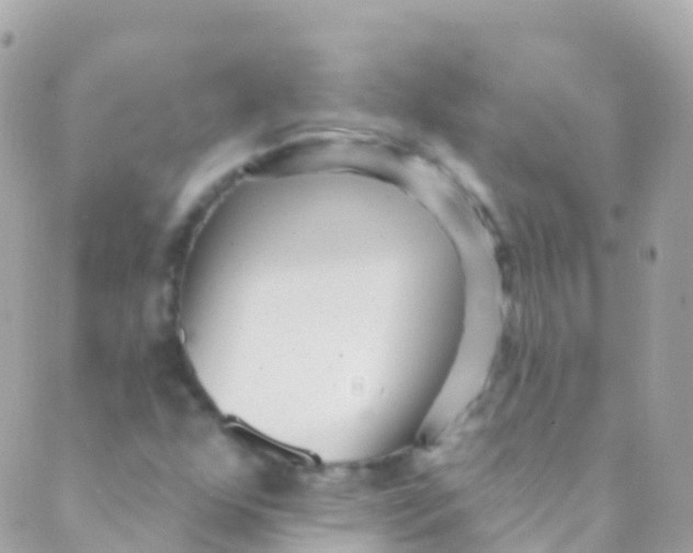 X0000089441352200707061358