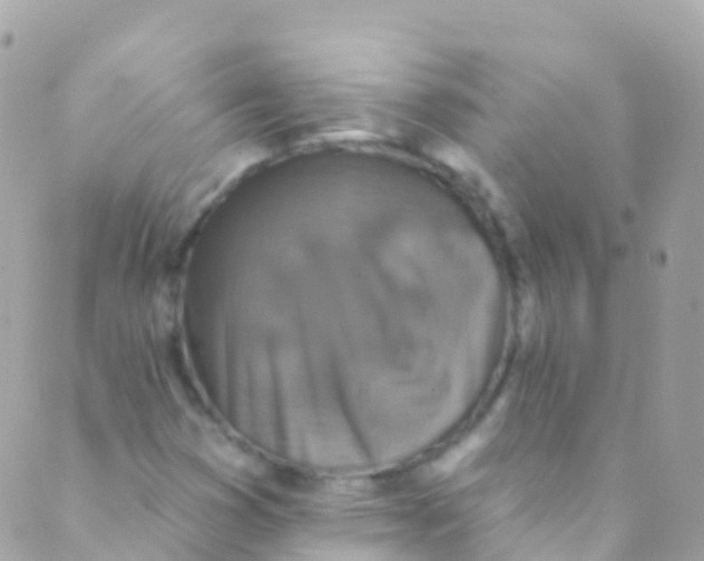 X0000089441353200707061358