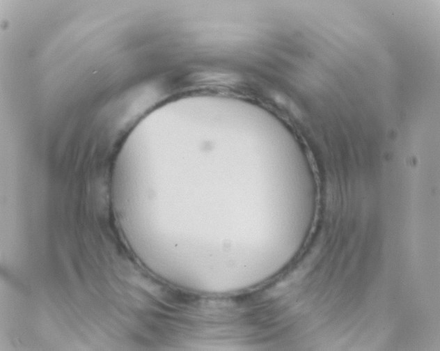 X0000089441354200707061358