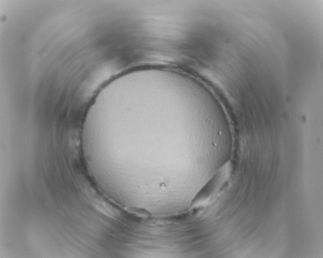 X0000089441355200707061358