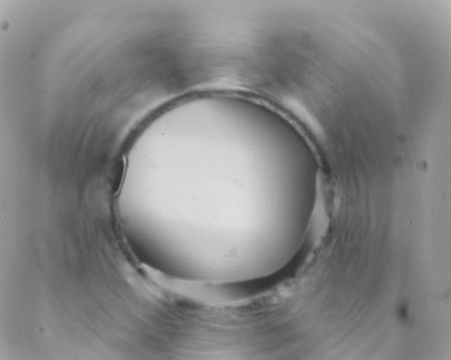 X0000089441356200707061358