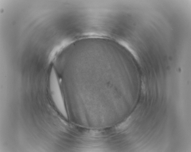 X0000089441357200707061358