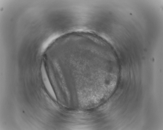 X0000089441359200707061358