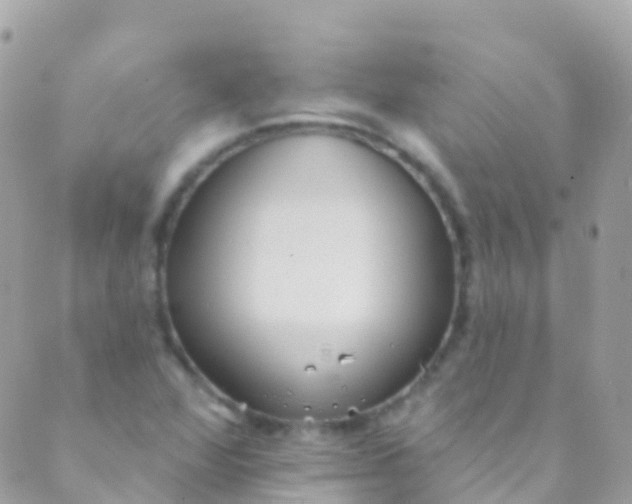 X0000089441360200707061358