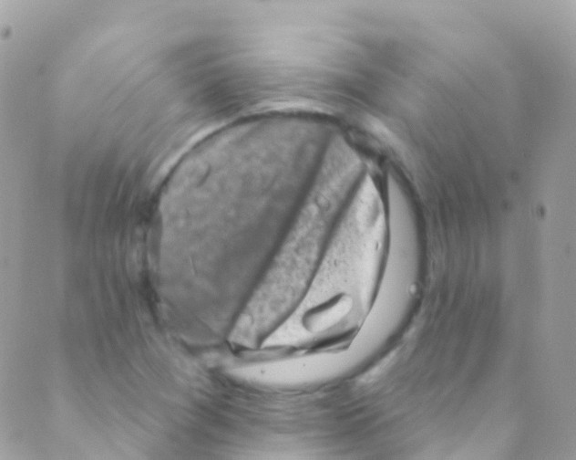 X0000089441361200707061358