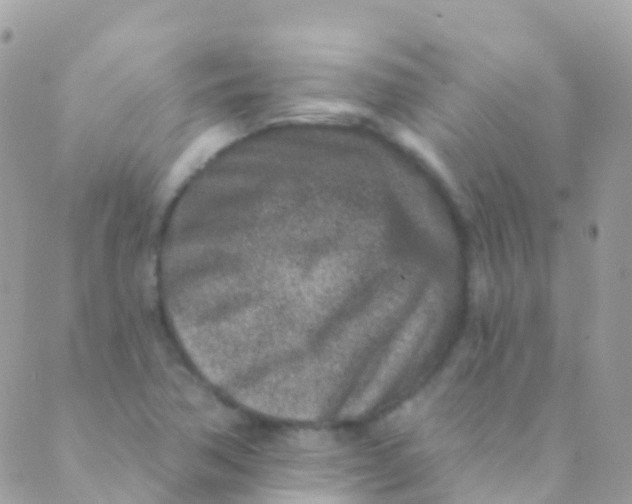 X0000089441362200707061358