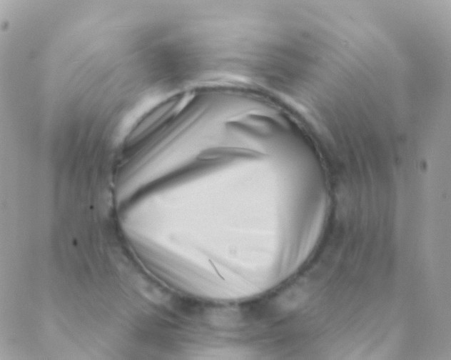 X0000089441363200707061358