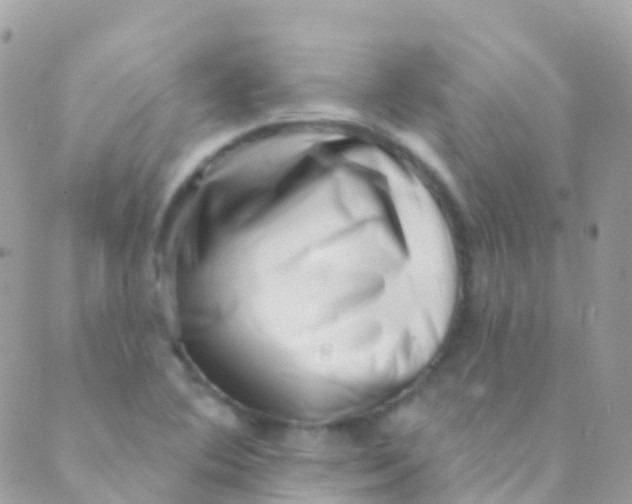 X0000089441364200707061358