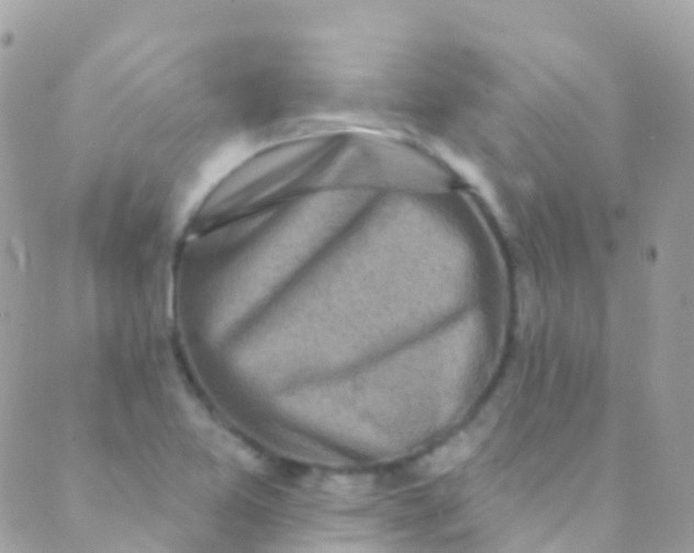 X0000089441365200707061358