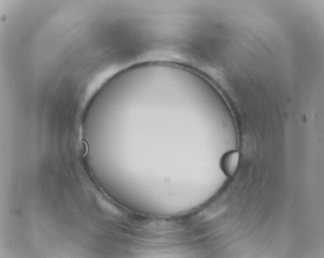 X0000089441366200707061358