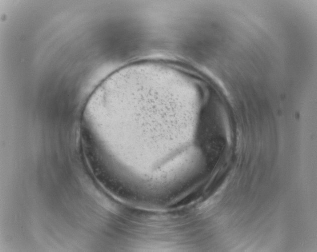 X0000089441367200707061358