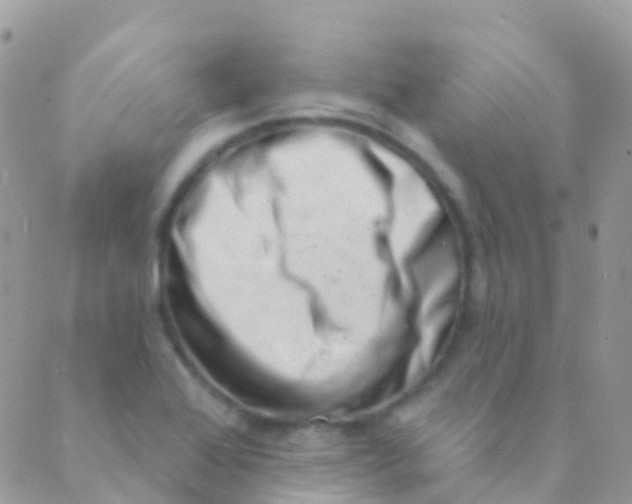 X0000089441368200707061358