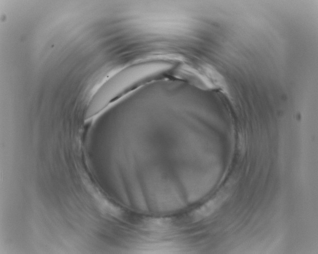 X0000089441369200707061358