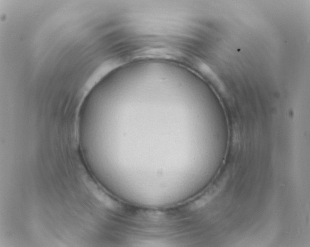 X0000089441370200707061358