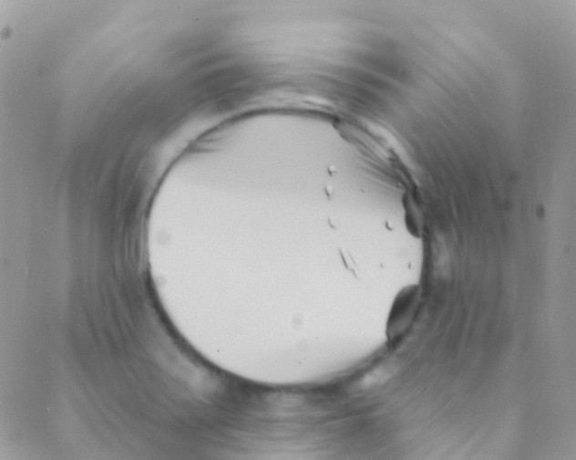 X0000089441371200707061358