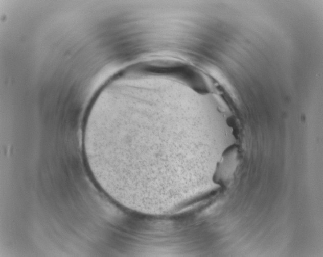 X0000089441372200707061358