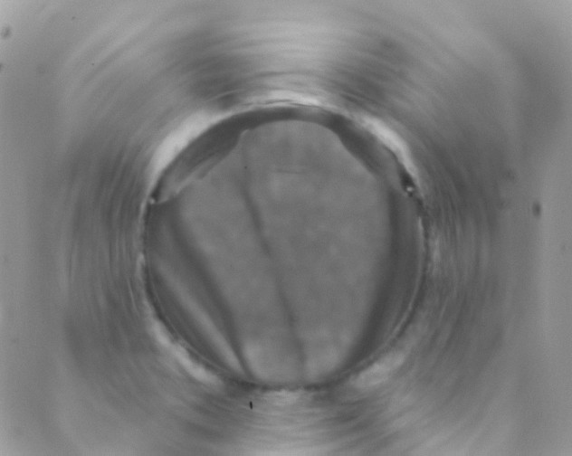 X0000089441373200707061358