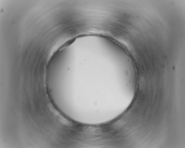 X0000089441374200707061358