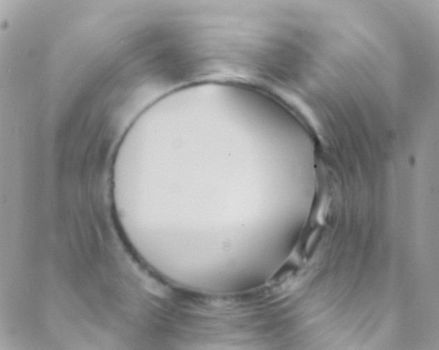 X0000089441375200707061358