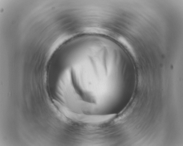 X0000089441376200707061358