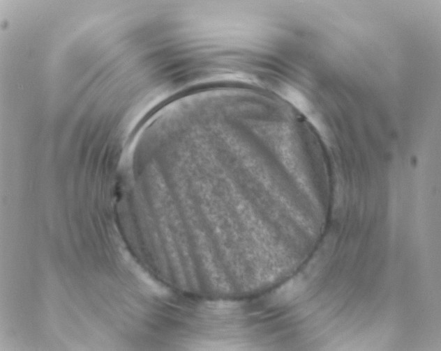 X0000089441377200707061358