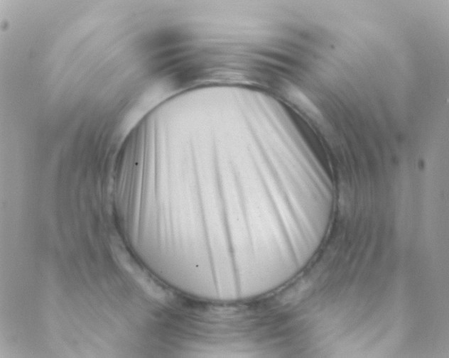 X0000089441378200707061358