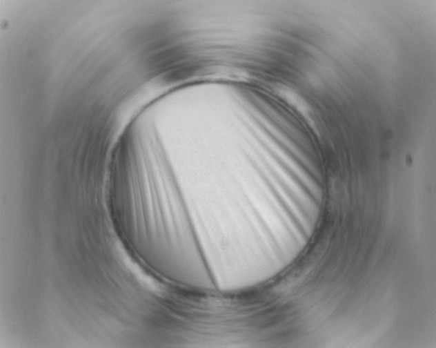 X0000089441379200707061358