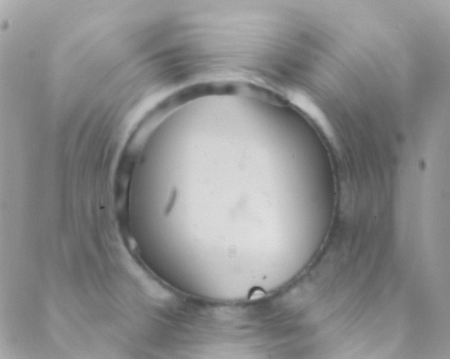 X0000089441380200707061358