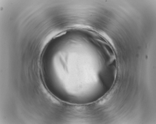 X0000089441381200707061358