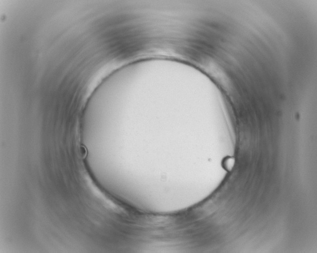 X0000089441382200707061358