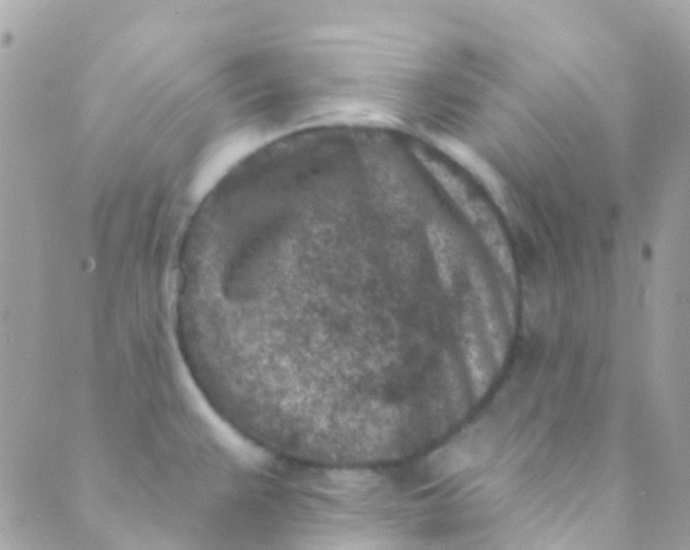 X0000089441383200707061358