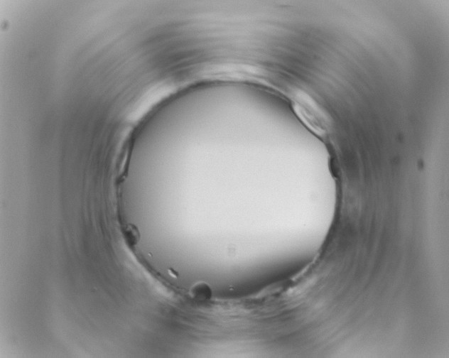 X0000089441384200707061358