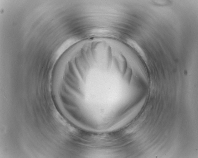 X0000089441386200707061357