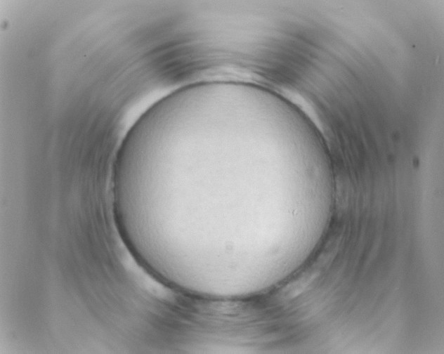 X0000089441387200707061357