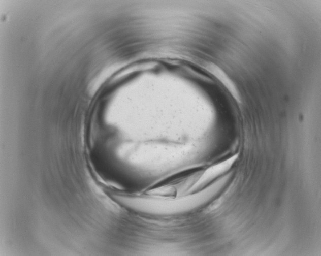 X0000089441388200707061357