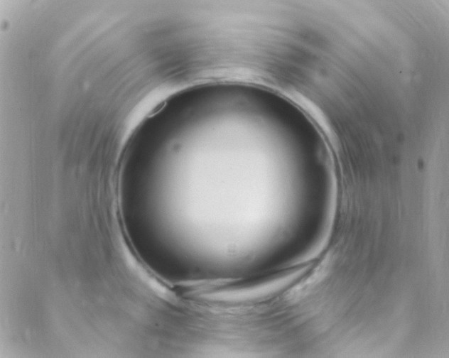 X0000089441389200707061357