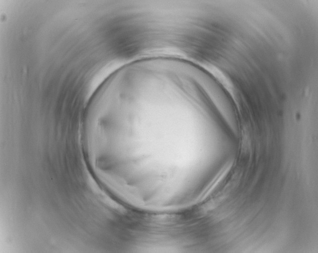 X0000089441390200707061357