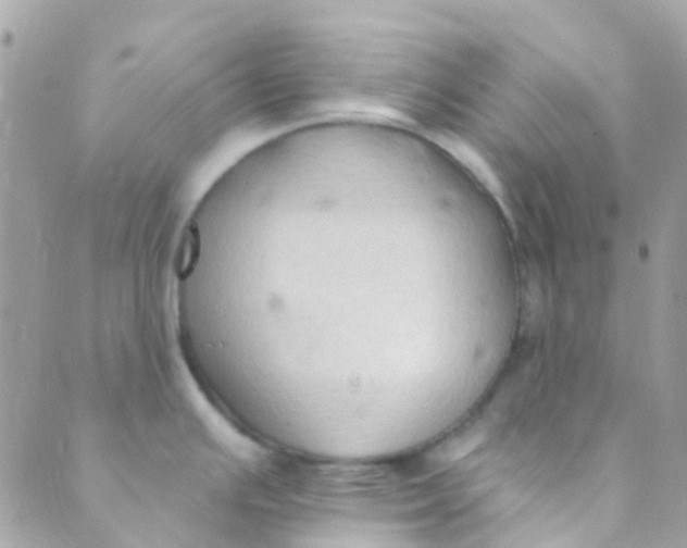 X0000089441391200707061357