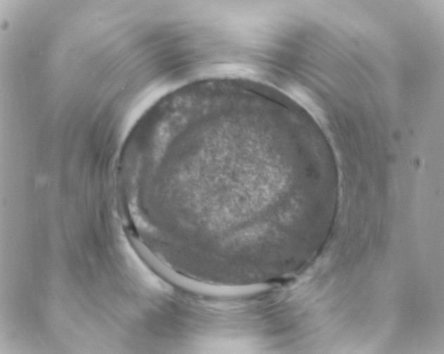 X0000089441392200707061357