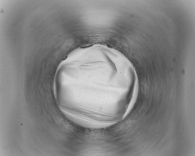 X0000089441393200707061357