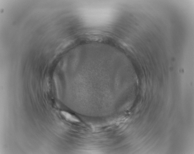 X0000089441394200707061357